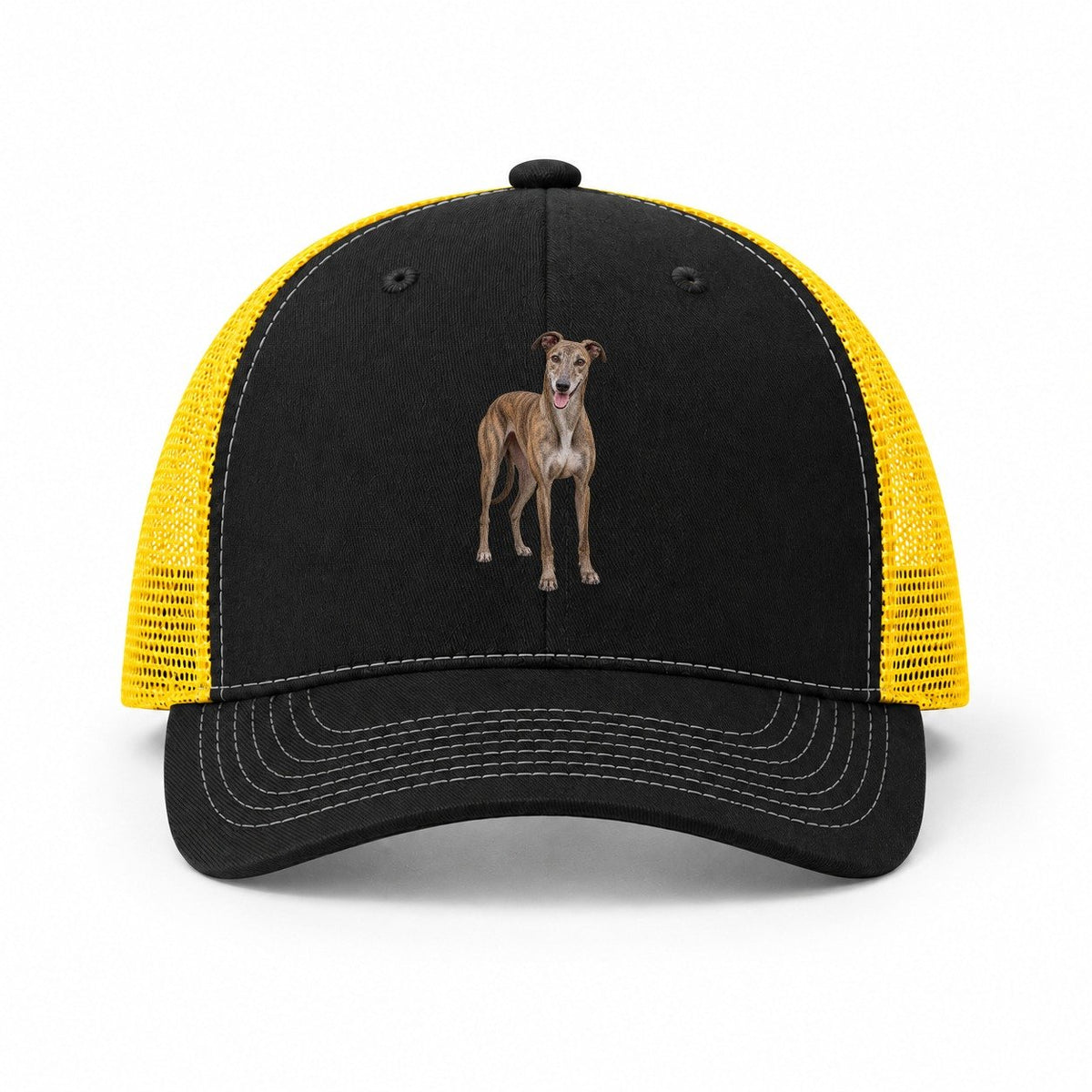 Black-Yellow — front view