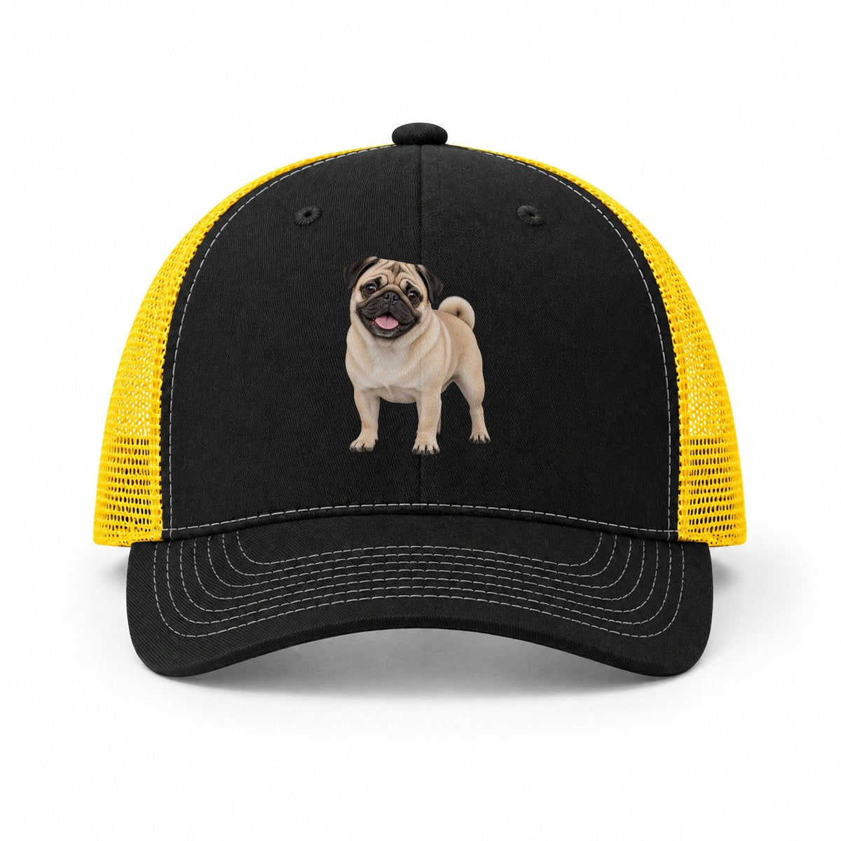 Black-Yellow — front view