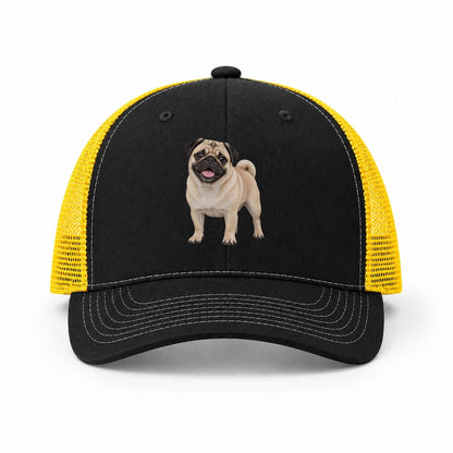 Black-Yellow — front view