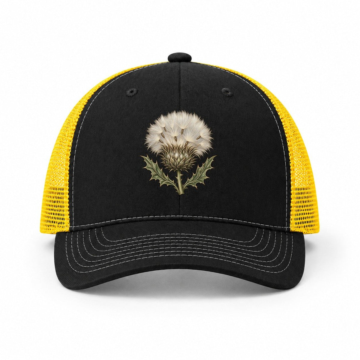 Black-Yellow — front view