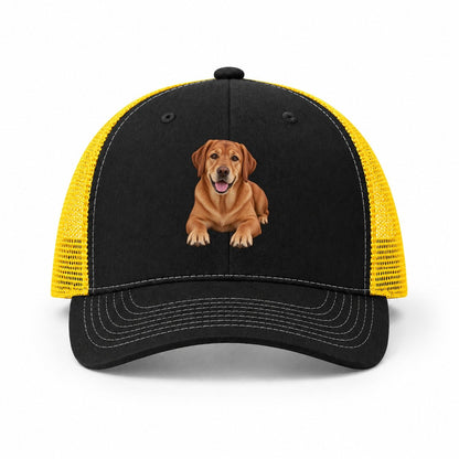 Black-Yellow — front view