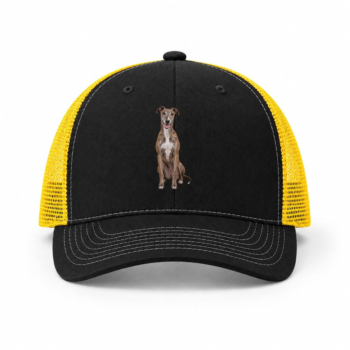 Black-Yellow — front view