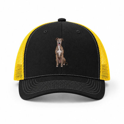 Black-Yellow — front view