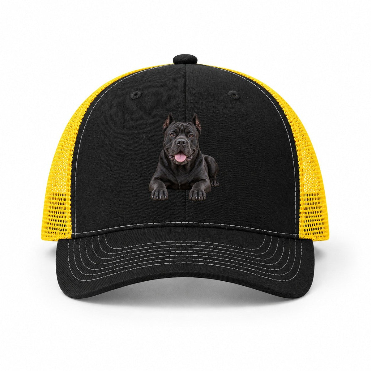 Black-Yellow — front view