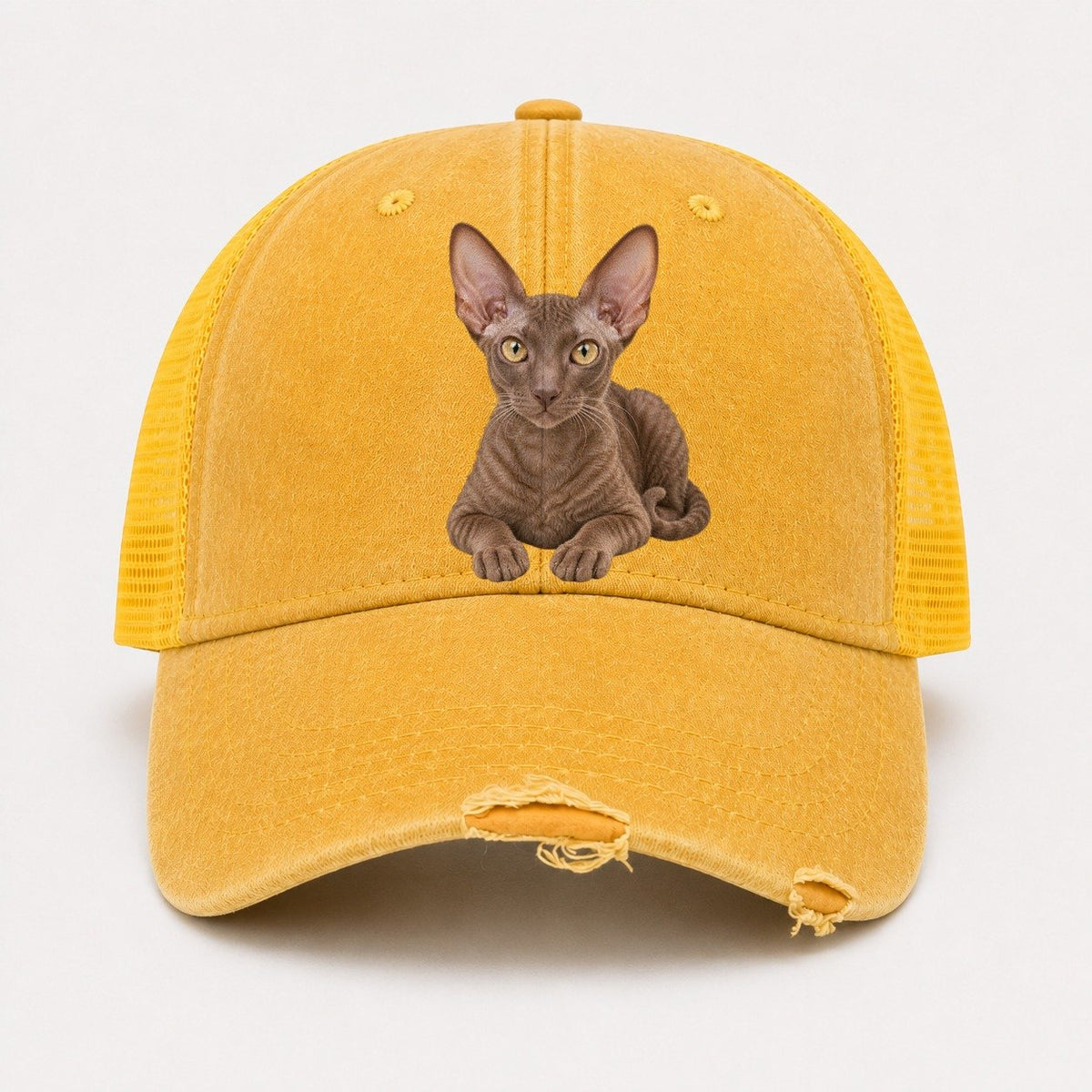 Yellow — front view