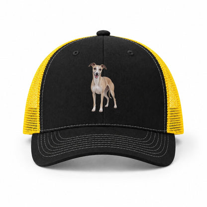 Black-Yellow — front view
