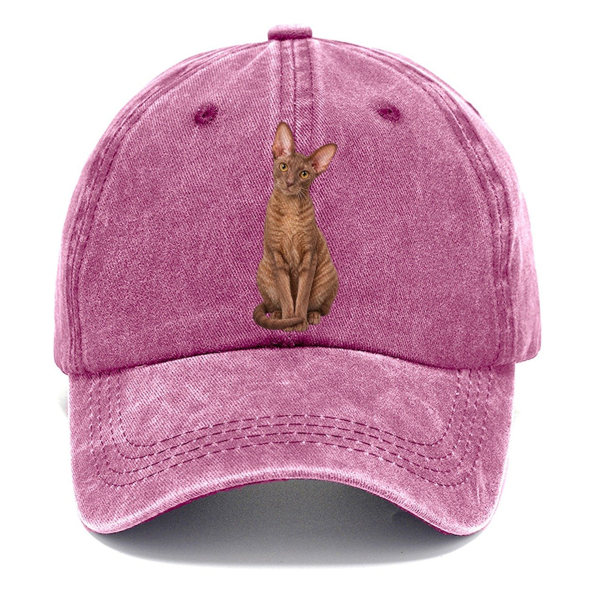 Cornish Rex Seated Portrait Realistic Cat Portrait Classic Cap – Dusty Rose