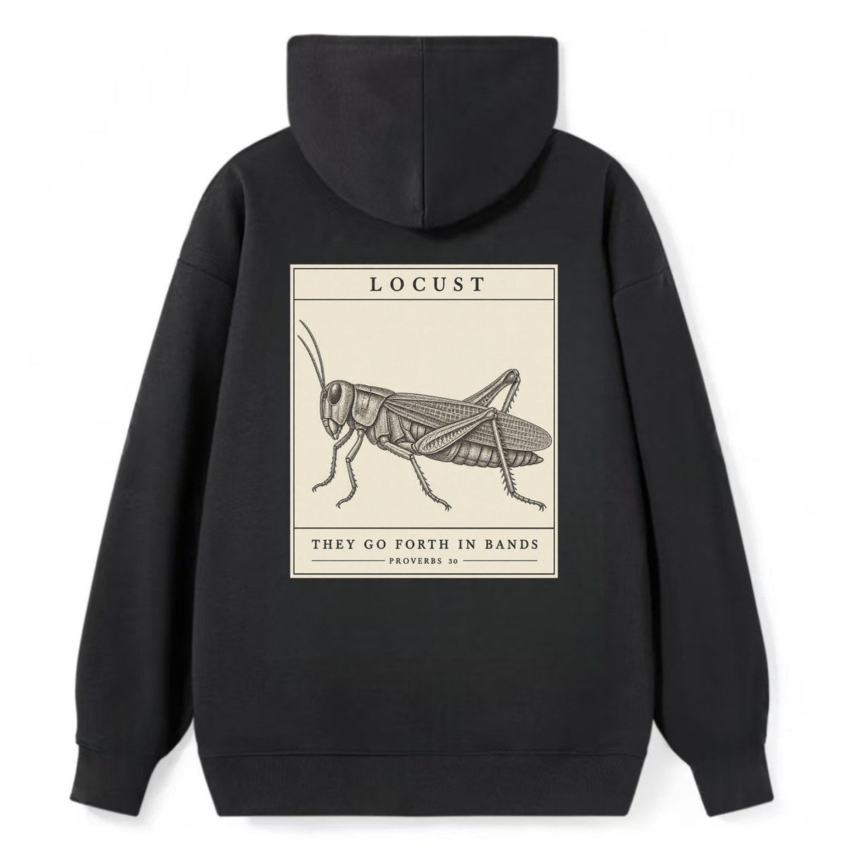 Locust Specimen Plate Creature Canticle Classic Pullover Hoodie – Black