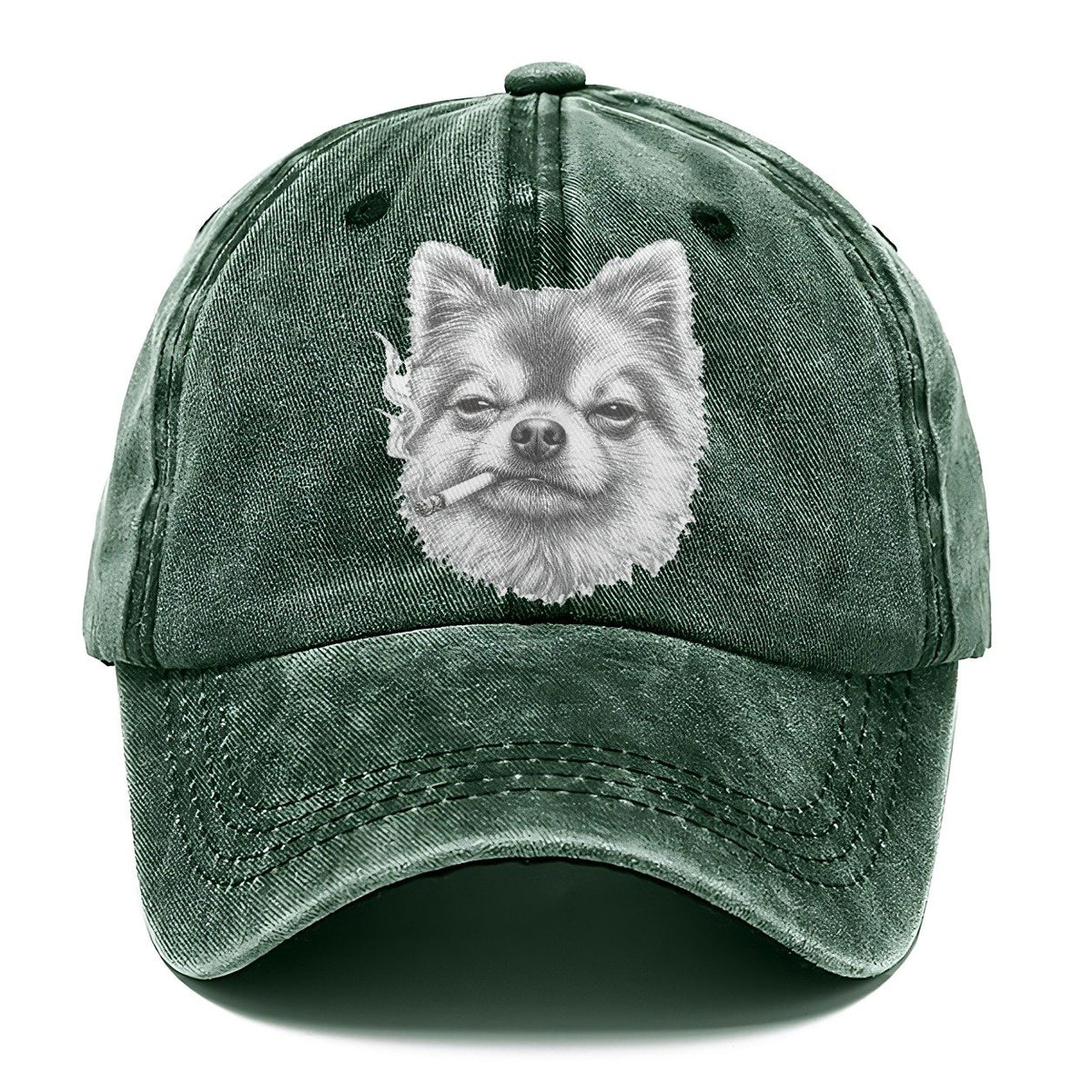 Pomeranian A Lit Cigarette Smoking Dogs Smoking Dogs Portraits Classic Cap – Forest Mist