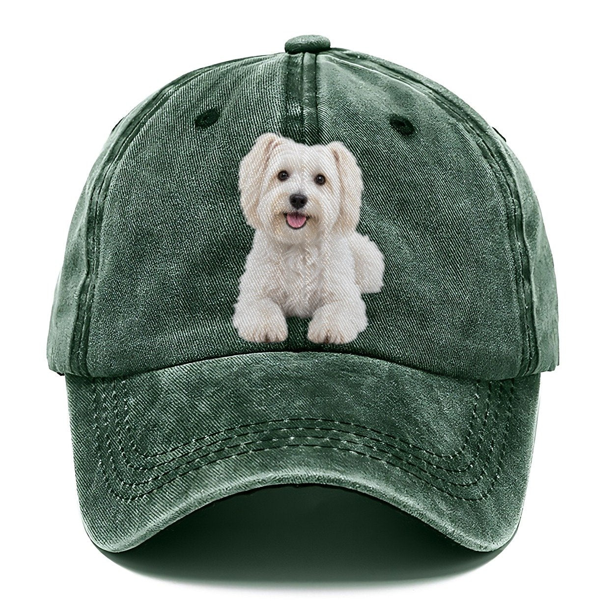 Havanese Sitting Top Breeds Classic Cap – Forest Mist