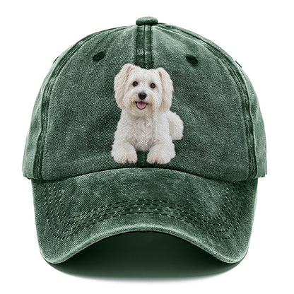 Havanese Sitting Top Breeds Classic Cap – Forest Mist