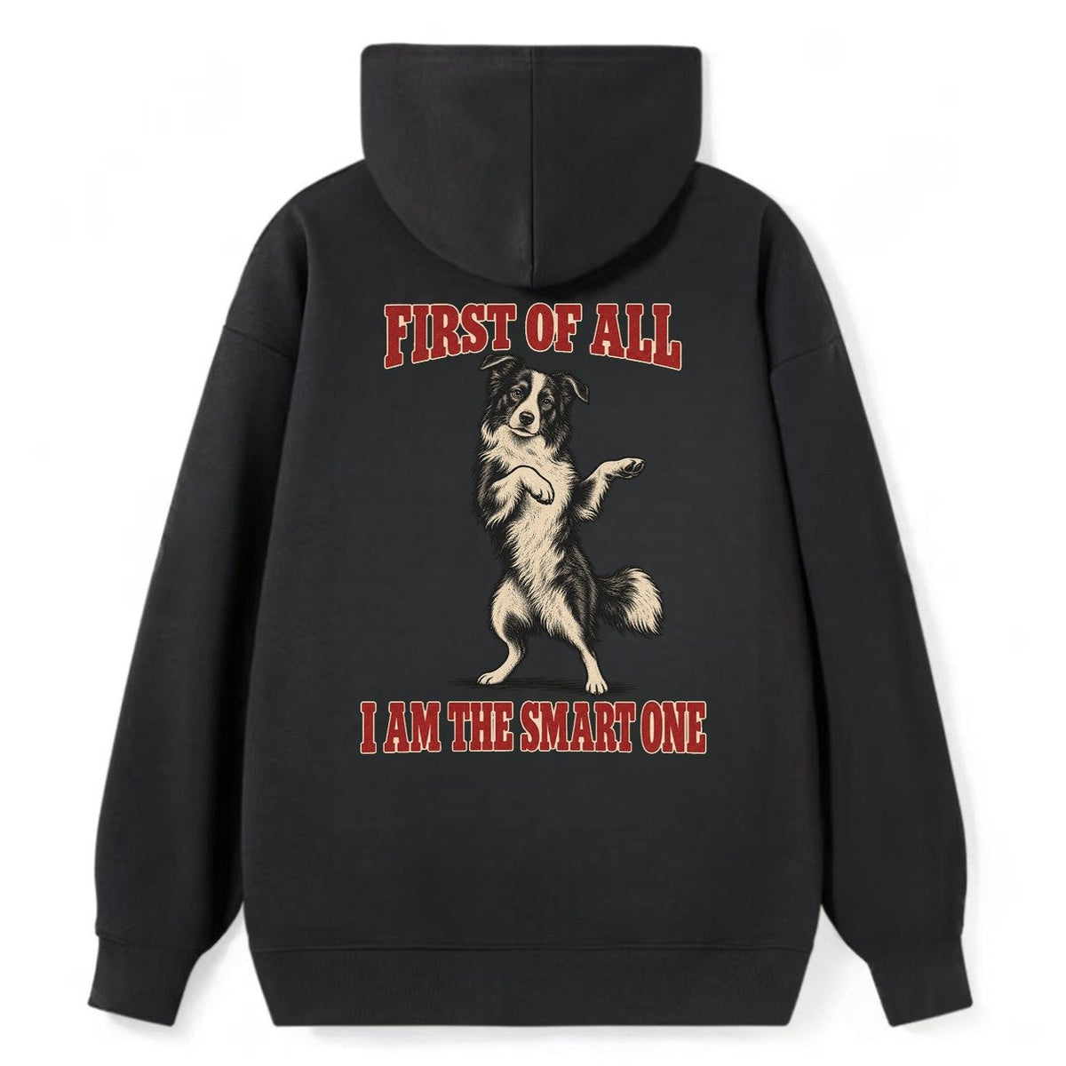 Border Collie Dog Declarations Classic Pullover Hoodie – Black
