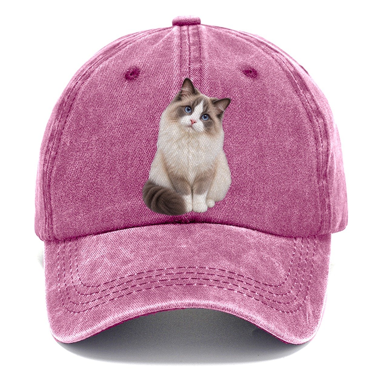 Ragdoll Seated Portrait Realistic Cat Portrait Classic Cap – Dusty Rose