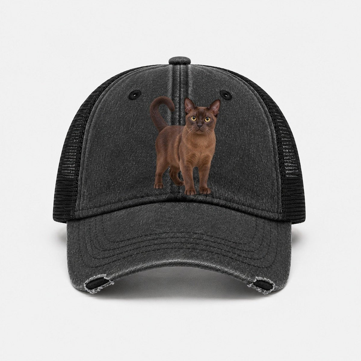 Black — front view