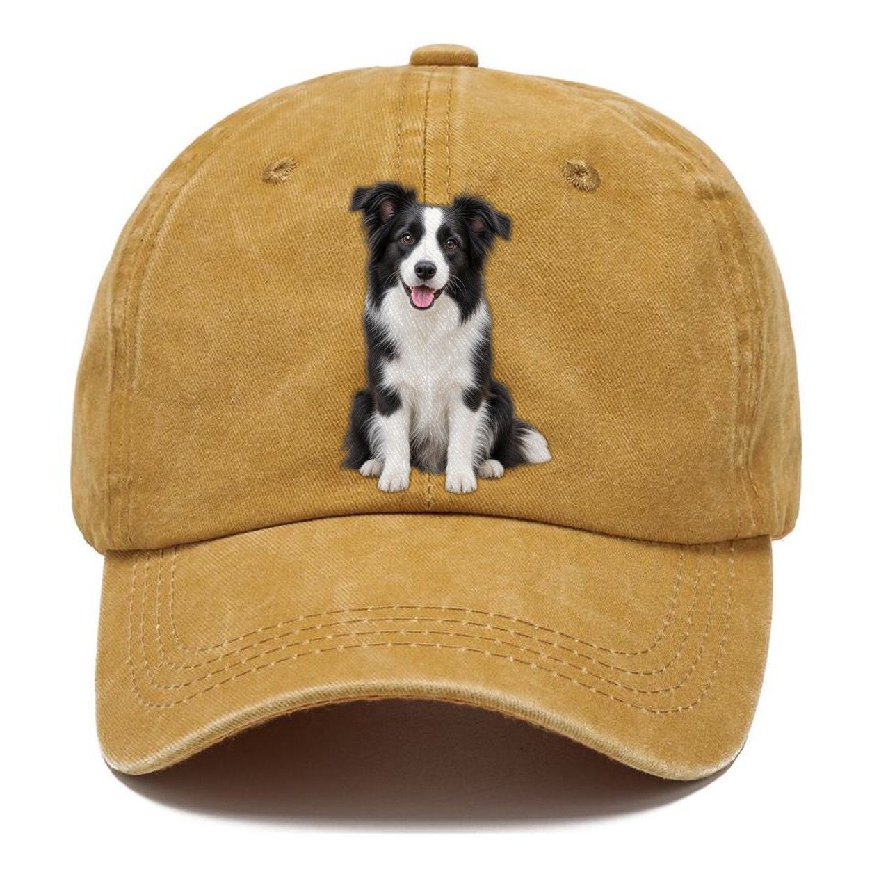 Border Collie Sitting Top Breeds Classic Cap – Golden Harvest