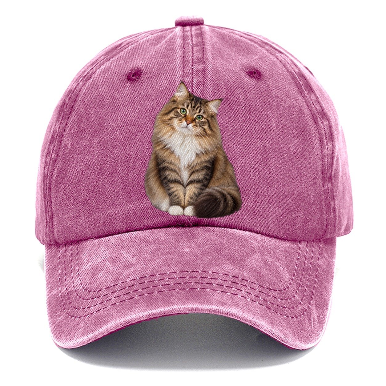 Siberian Seated Portrait Realistic Cat Portrait Classic Cap – Dusty Rose
