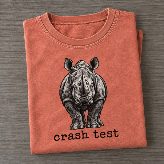 Crash Test Collective Nouns Vintage T-shirt – Terracotta