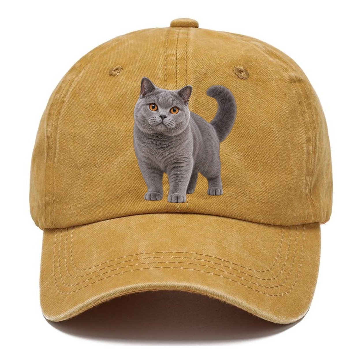 British Shorthair Standing Three Quarter Realistic Cat Portrait Classic Cap – Golden Harvest
