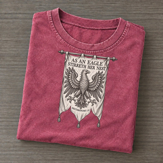 As An Eagle Stirreth Her Nest Beast And Banner Vintage T-shirt – Raspberry