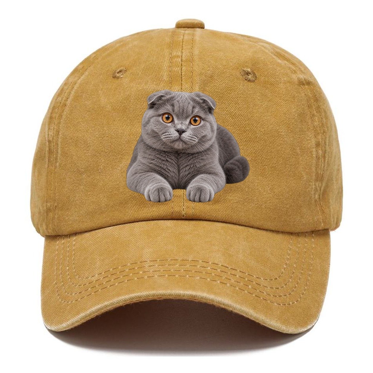 Scottish Fold Reclining Paws Forward Realistic Cat Portrait Classic Cap – Golden Harvest