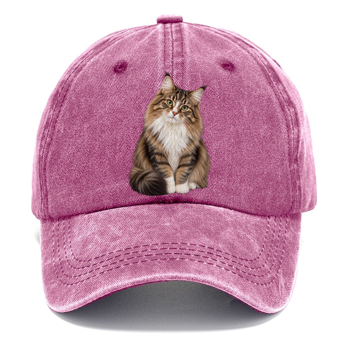 Norwegian Forest Cat Seated Portrait Realistic Cat Portrait Classic Cap – Dusty Rose