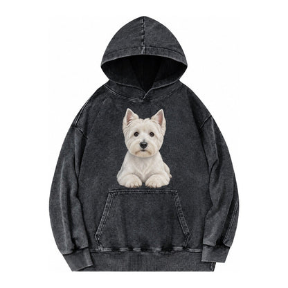 Pickleball Vintage Washed Hoodie – Black