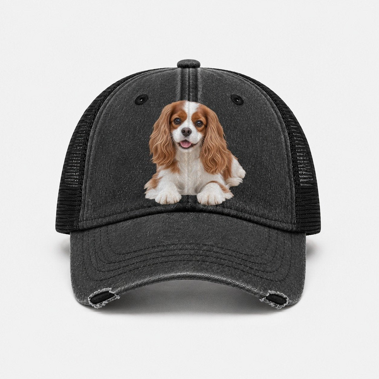 Black — front view