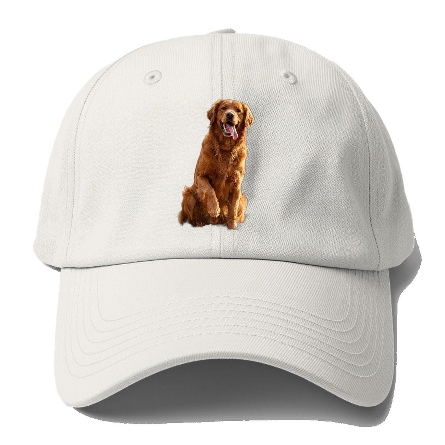 Autumn Retriever Baseball Cap – Off White