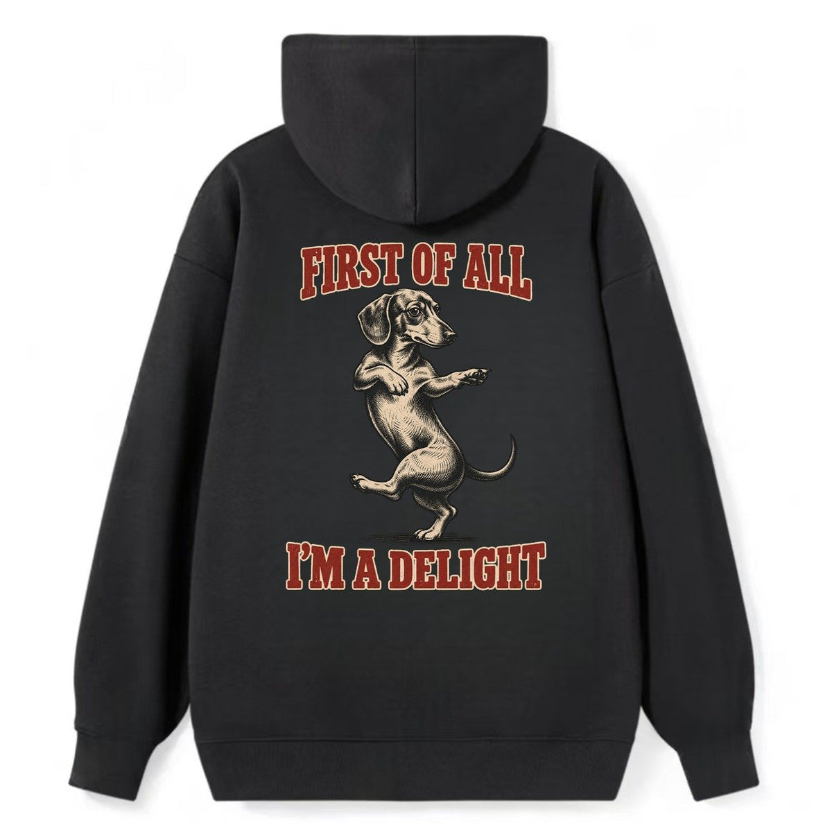 Dachshund Dog Declarations Classic Pullover Hoodie – Black
