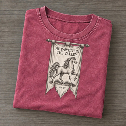 He Paweth In The Valley Beast And Banner Vintage T-shirt – Raspberry
