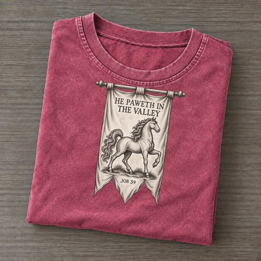 He Paweth In The Valley Beast And Banner Vintage T-shirt – Raspberry