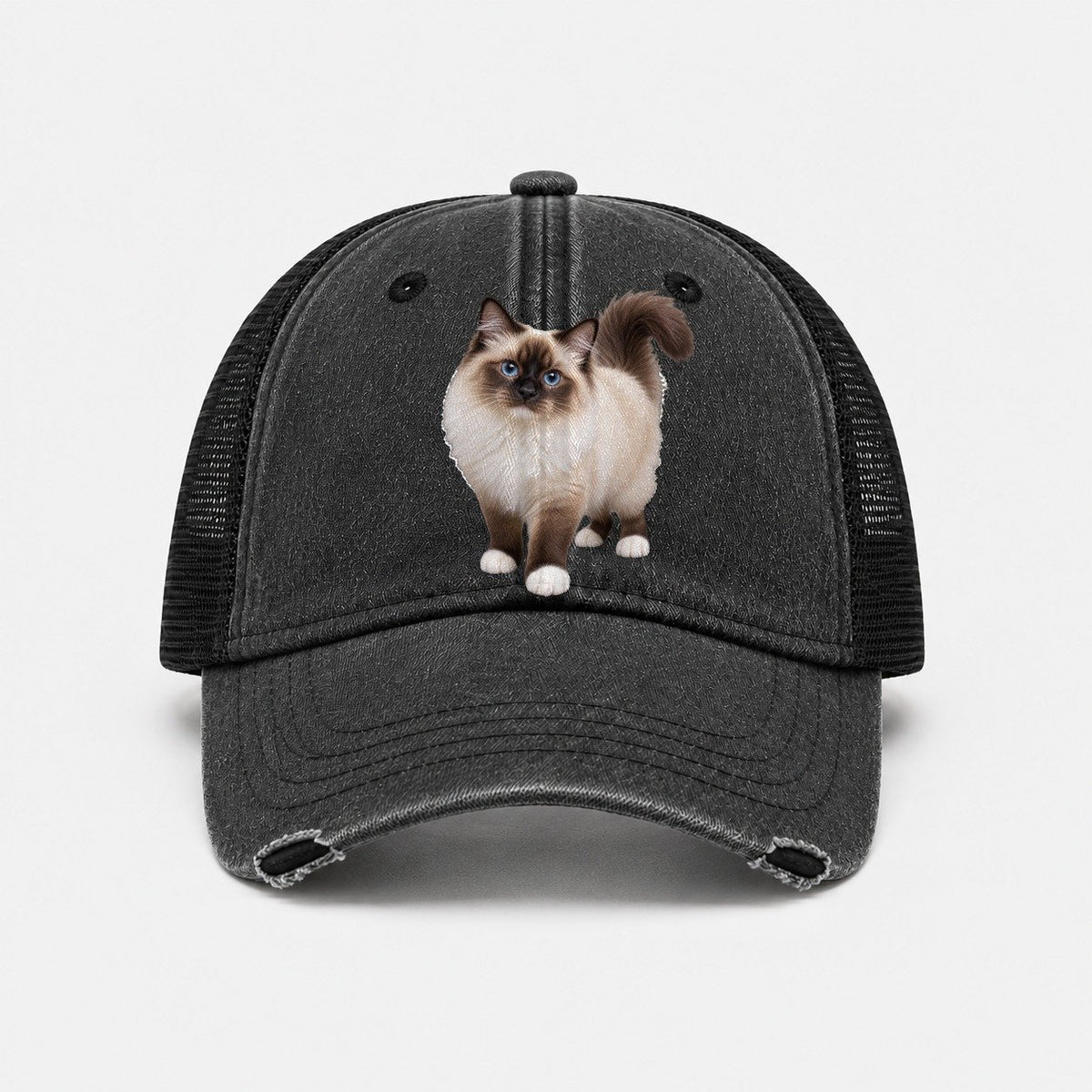 Black — front view