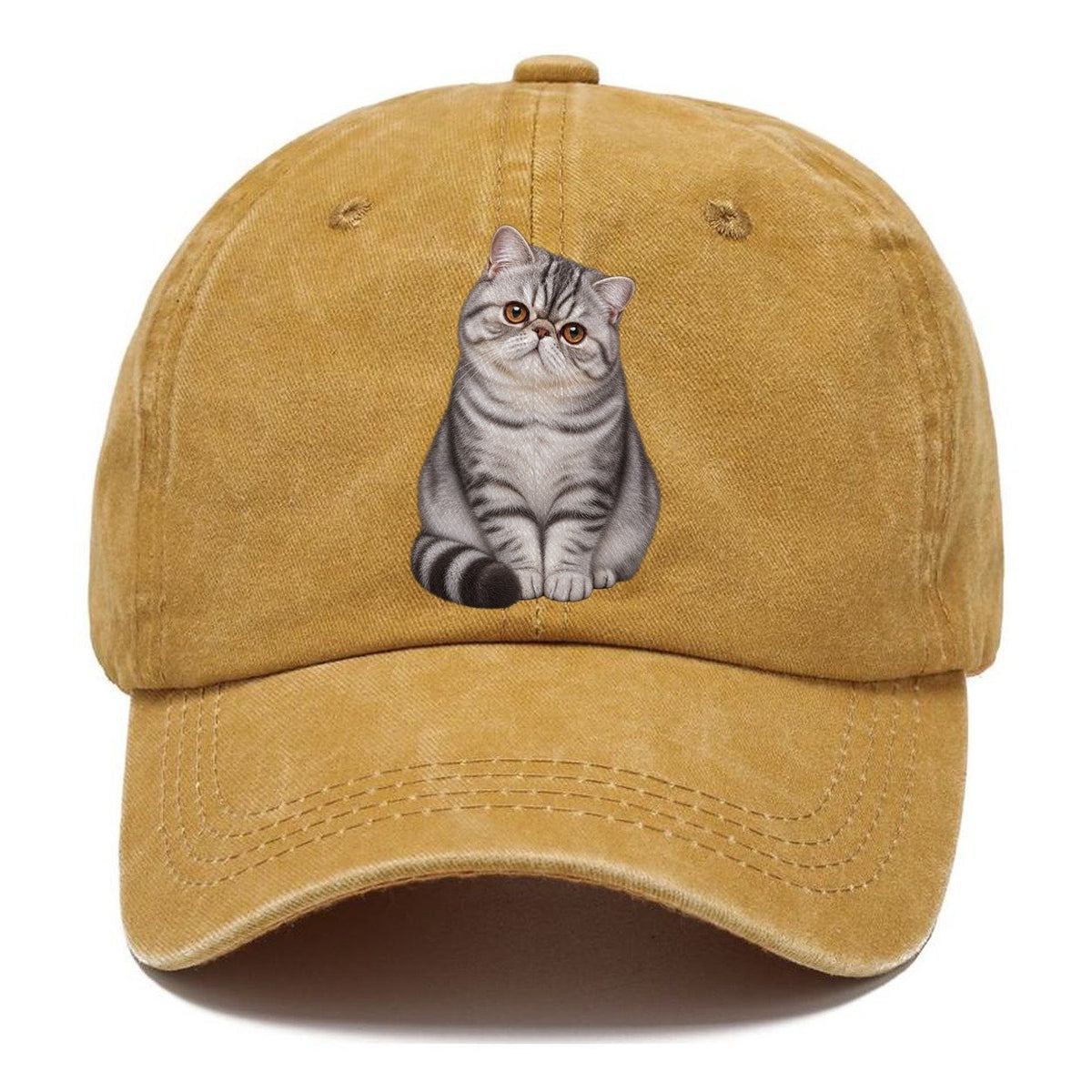 Exotic Shorthair Seated Portrait Realistic Cat Portrait Classic Cap – Golden Harvest