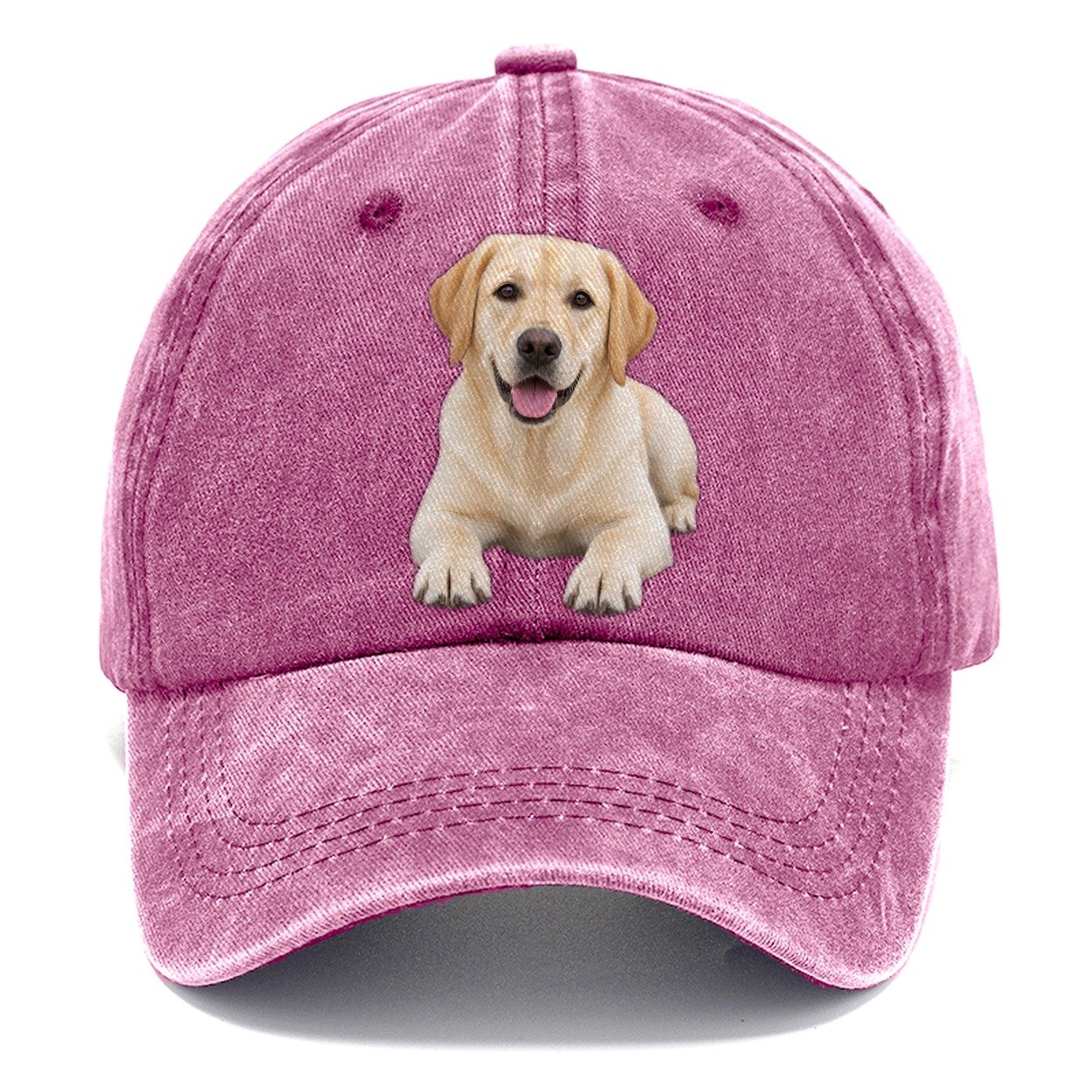 Labrador Retriever Lying Down Top Breeds Classic Cap – Dusty Rose