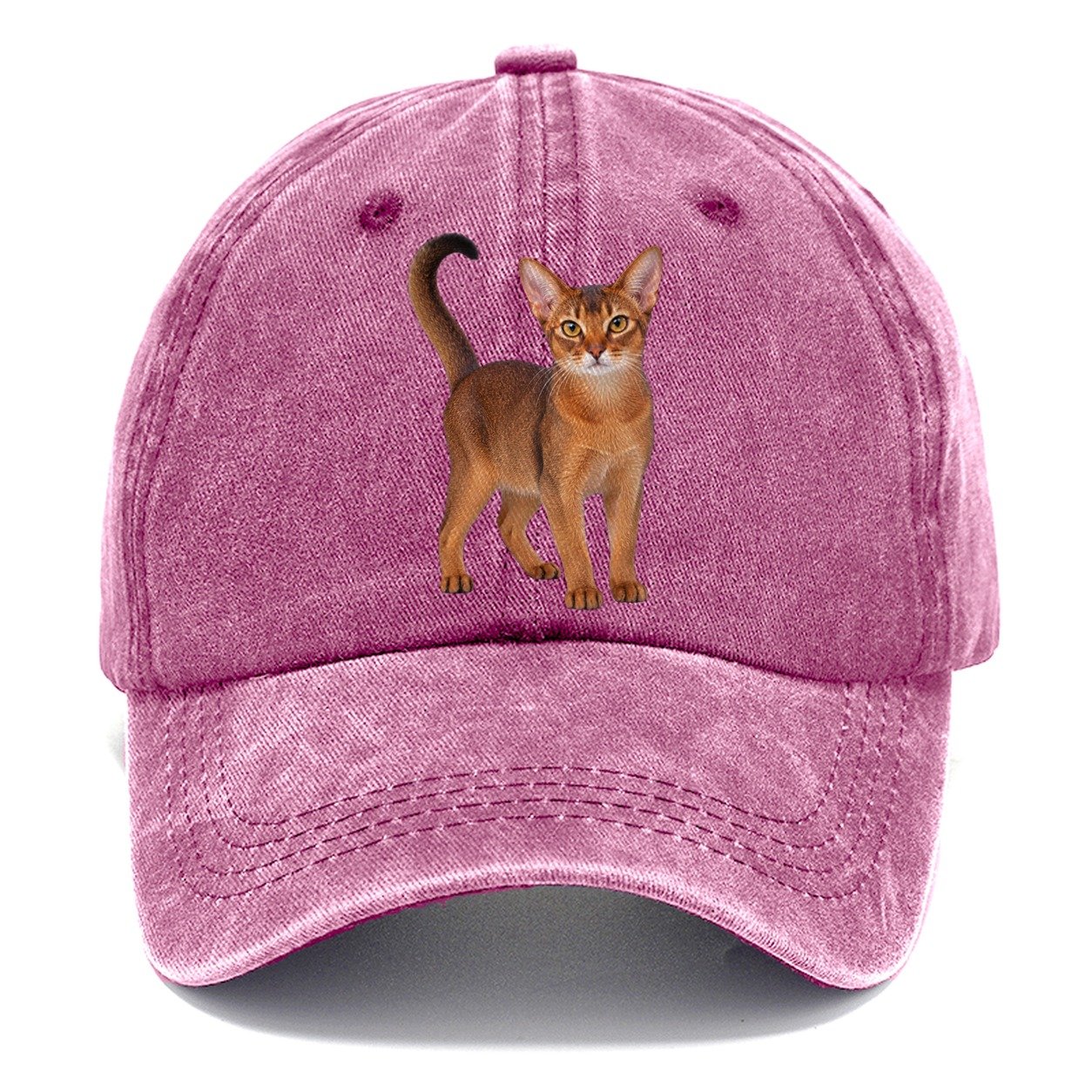 Abyssinian Standing Three Quarter Realistic Cat Portrait Classic Cap – Dusty Rose