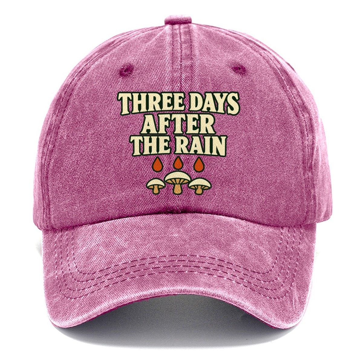 Three Days After The Rain Foraging And Mycology Classic Cap – Dusty Rose
