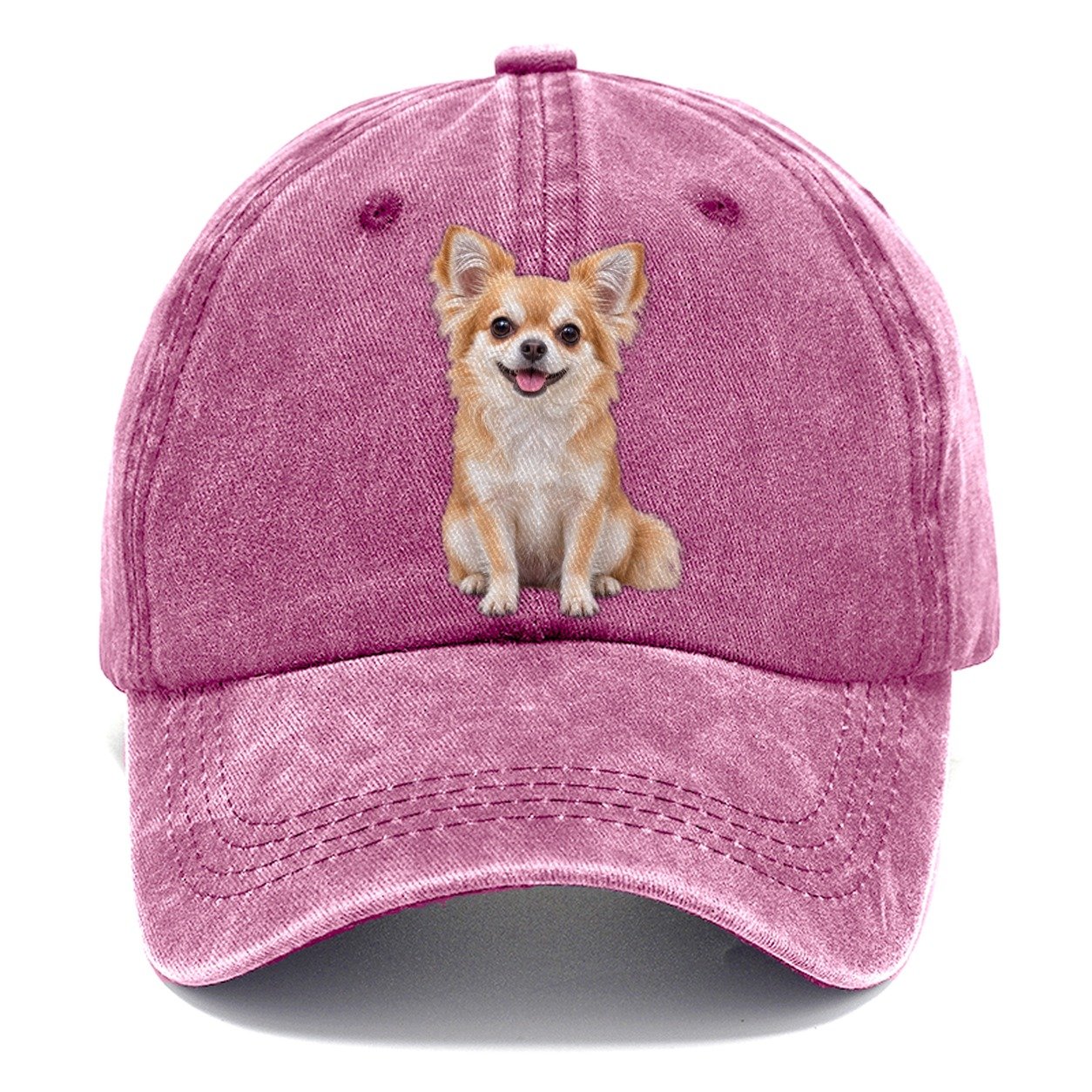 Chihuahua Sitting Top Breeds Classic Cap – Dusty Rose
