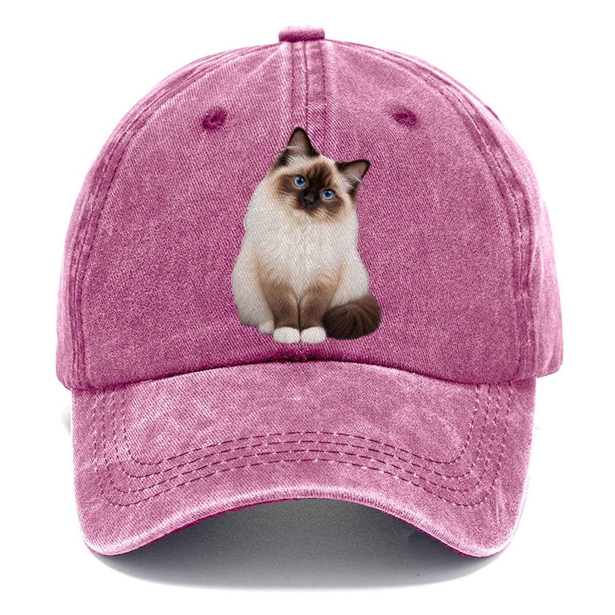 Birman Seated Portrait Realistic Cat Portrait Classic Cap – Dusty Rose