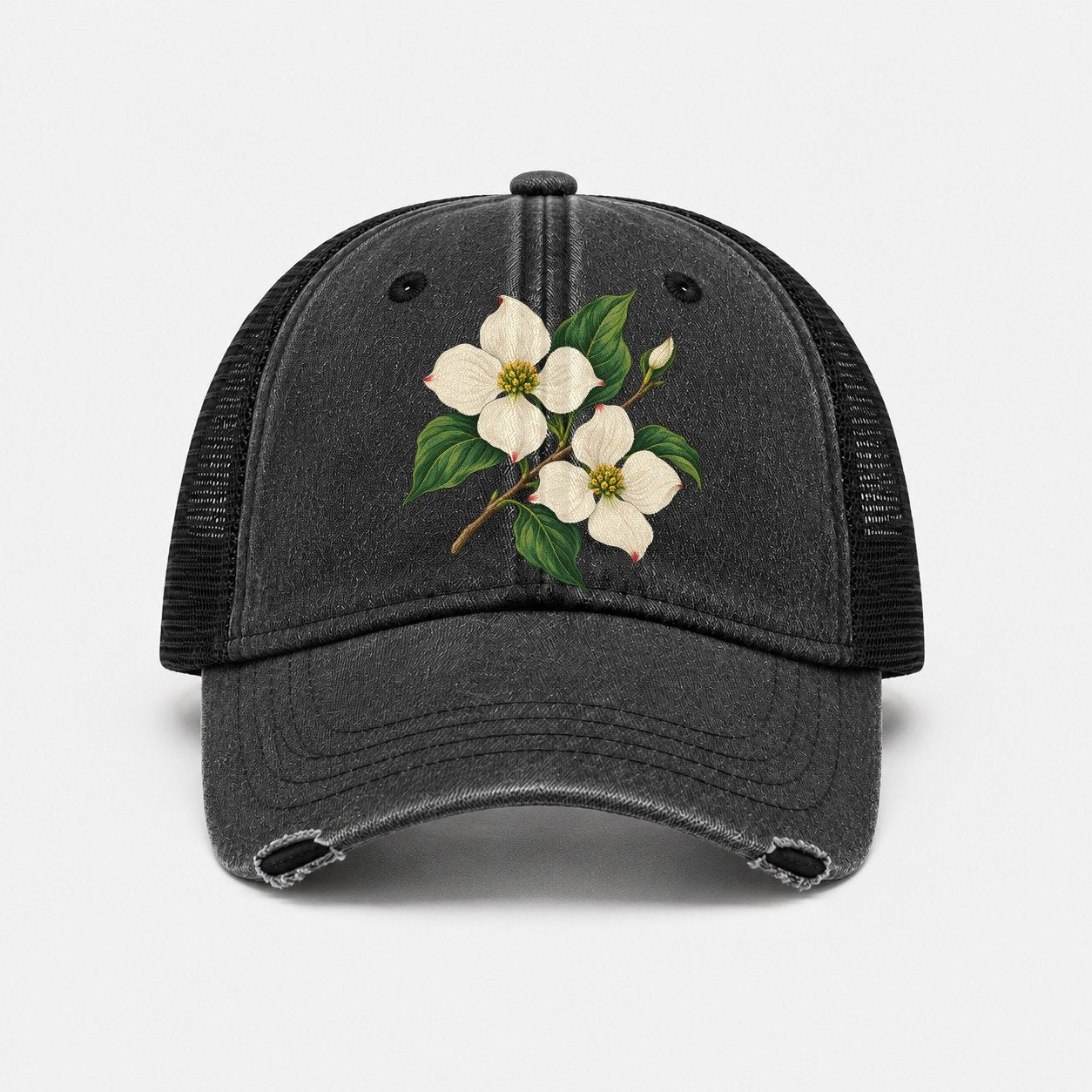 Black — front view