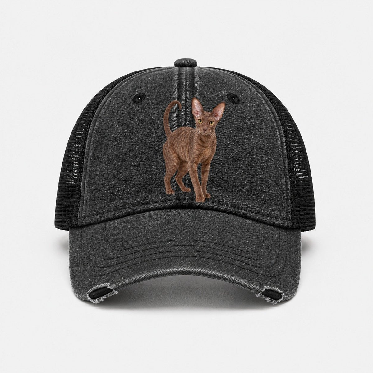 Black — front view