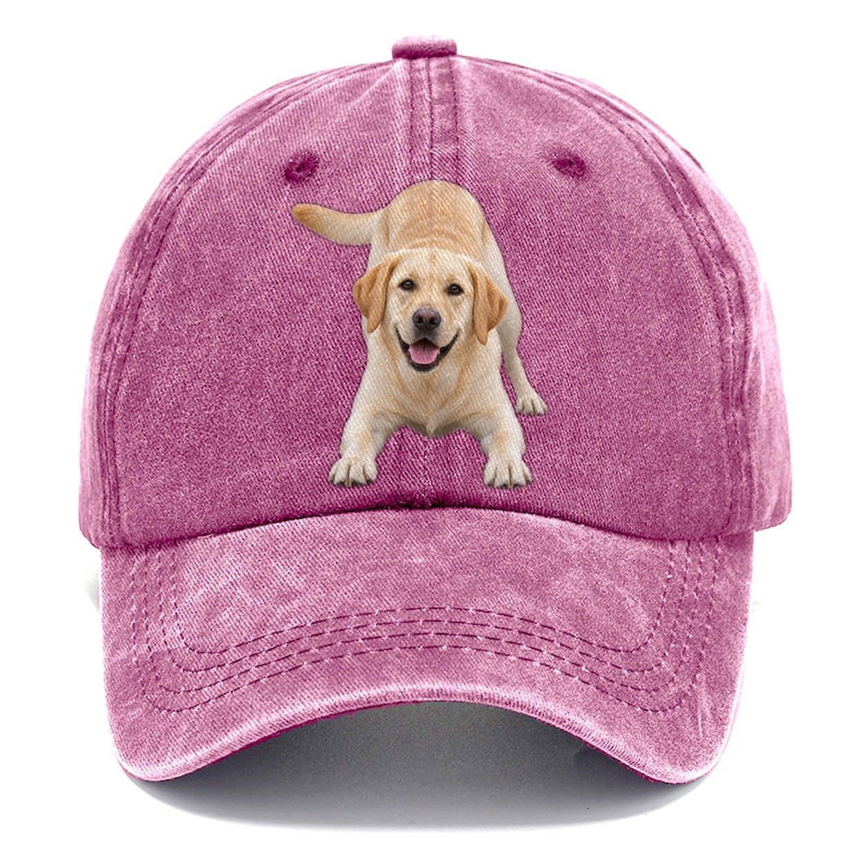 Labrador Retriever Play Bow Top Breeds Classic Cap – Dusty Rose