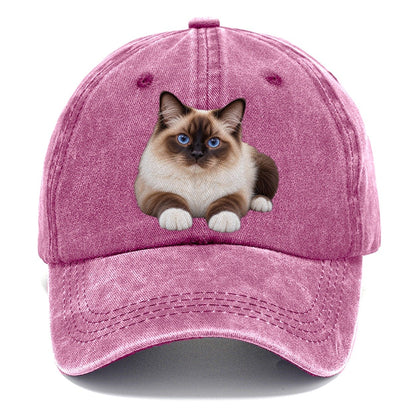 Birman Reclining Paws Forward Realistic Cat Portrait Classic Cap – Dusty Rose