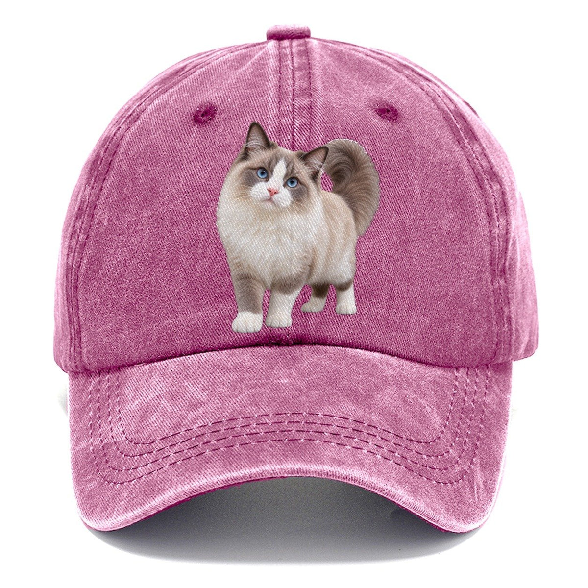 Ragdoll Standing Three Quarter Realistic Cat Portrait Classic Cap – Dusty Rose