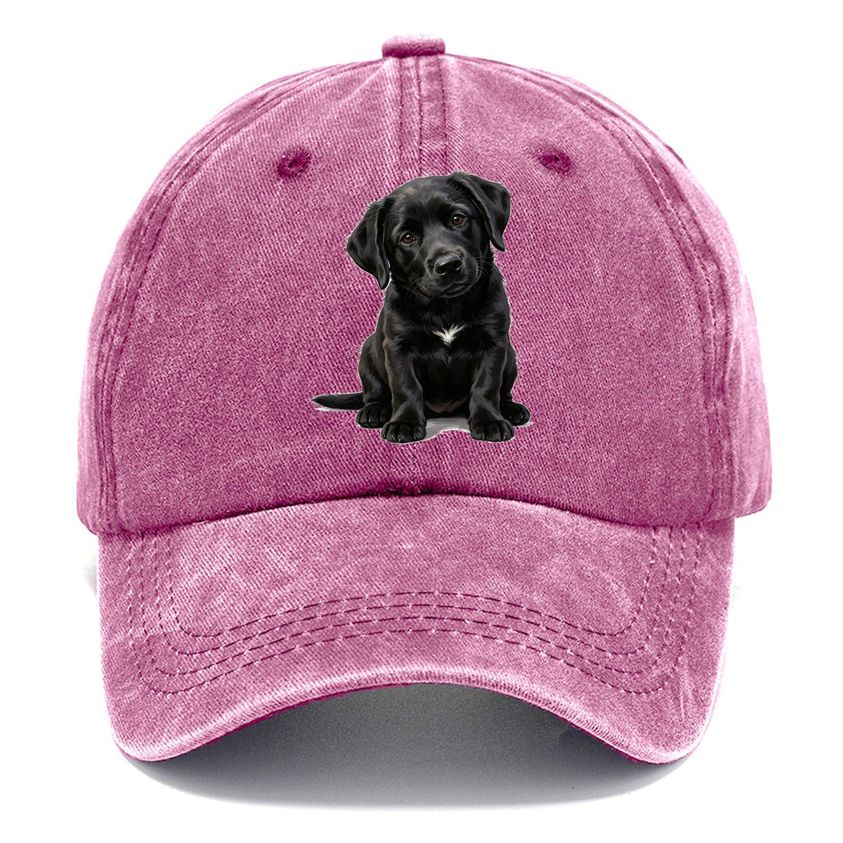 Black Puppy Classic Cap – Dusty Rose