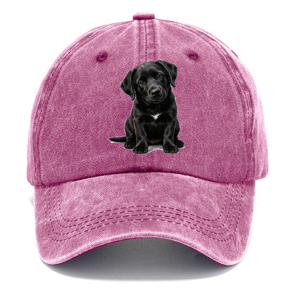 Black Puppy Classic Cap – Dusty Rose
