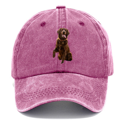 Dark Retriever Classic Cap – Dusty Rose