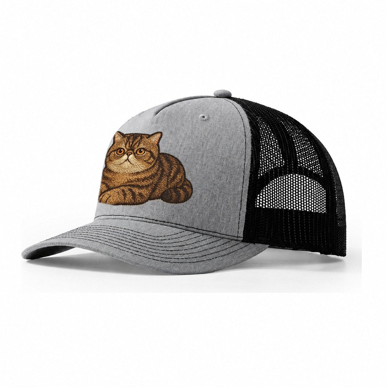 Exotic Shorthair Flat Face Plush Coat Relaxed Lying Down Wit Trucker Hat – Sport Grey-Black