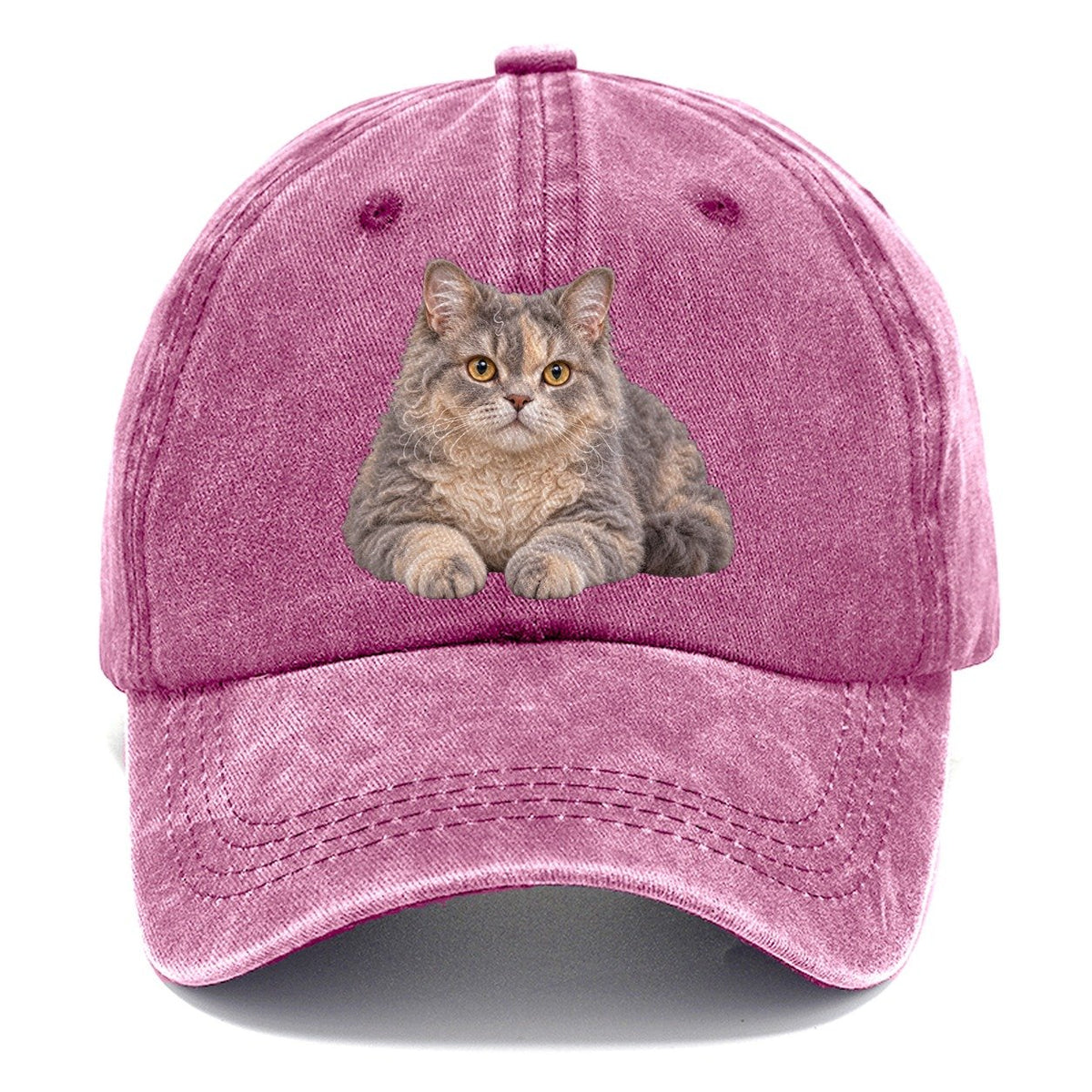 Selkirk Rex Reclining Paws Forward Realistic Cat Portrait Classic Cap – Dusty Rose