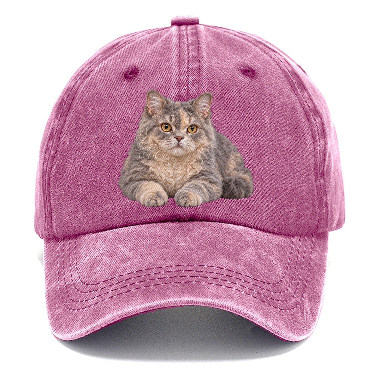 Selkirk Rex Reclining Paws Forward Realistic Cat Portrait Classic Cap – Dusty Rose