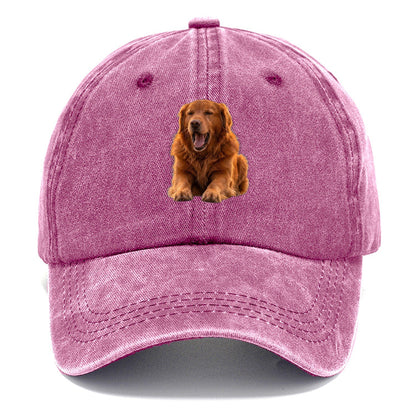 Golden Retriever Yawn Classic Cap – Dusty Rose